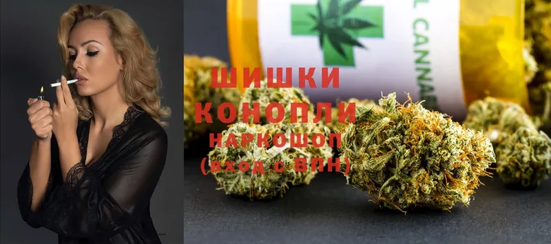 магазин  наркотиков  Заводоуковск  Марихуана SATIVA & INDICA 